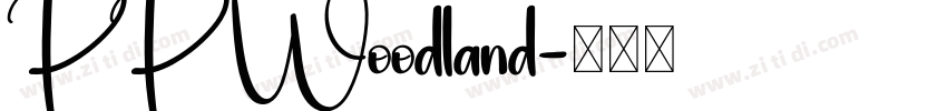 PP Woodland字体转换